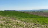 Randonnée Marche Gerpinnes - Les longs Bonniers  - Photo 8