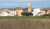 Percorso A piedi Ponte Buggianese - Valle del Pescia - Il trekking lungo il fiume - Photo 8