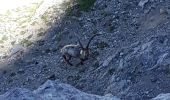 Percorso Via ferrata Le Monêtier-les-Bains - Via ferrata Aiguillette du Lauzet 30/06/18 - Photo 4