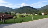 Tour Zu Fuß Gemeinde Puchberg am Schneeberg - Puchberger Naturfreunde Rundwanderweg - Photo 2