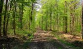 Trail Walking Longpont - en forêt de Retz_77_Longpont_Puiseux en Retz_AR - Photo 6