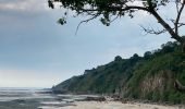 Tocht Stappen Champeaux - Les falaises de Champeaux - Photo 1