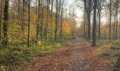 Tocht Stappen Opzullik - Graty - bois d’Enghien - Graty - Photo 6