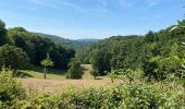 Tour Wandern Theux - Hodbomont 21 km - Photo 2