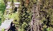 Tour Zu Fuß Zell im Fichtelgebirge - Sparneck-Großer Waldstein - Photo 4