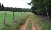 Trail Walking Aydat - Puy de Vichatel depuis la Garandie - Photo 3