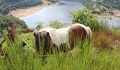 Trail Horseback riding Saint-Jacques-d'Ambur - SAINT JACQUES/ PONTAUMUR - Photo 1