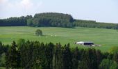 Tour Zu Fuß Vielsalm - Vielsalm jaune - Photo 4