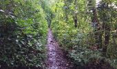 Trail Walking Le Robert - Boucle Mansarde-Rance - Photo 9