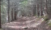 Tocht Stappen Orlu - Orlu Mèrens les Vals Haut GR 107 chemin des Bonshommes - Photo 4