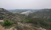 Tocht Stappen Le Pouzin - le Pouzin le couvent des Chèvres vieux Rompon - Photo 10