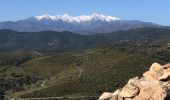 Tour Wandern Castelnou - 20210328 Castelnou-Camelas- boucl - Photo 8