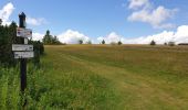 Excursión Senderismo Belmont - Tour du Champ du Feu - Photo 14