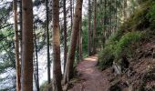 Trail Walking Waimes - Au fil des rives du Lac   - Photo 1
