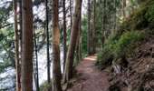 Trail Walking Waimes - Au fil des rives du Lac   - Photo 1