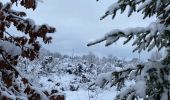 Excursión Senderismo Bertogne - Promenade dans la neige - Photo 1