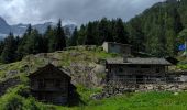 Tour Wandern Im Land - Alvania - Alpe Maller - Photo 8