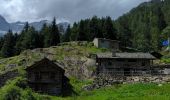 Trail Walking Alagna Valsesia - Alvania - Alpe Maller - Photo 8