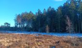 Tocht Stappen Spa - grand tour de la la fagne via chemin didactique - Photo 11