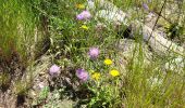 Trail Walking la Vall de Laguar - Benimaurell 250525 - Photo 16