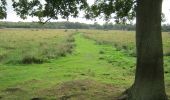 Randonnée A pied Breckland - Woodland Trail - Photo 1