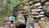 Tour Wandern Ottrott - Le circuit nord et sud du Mur Païen - Photo 11