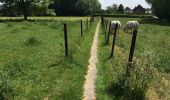 Tocht Stappen Belœil - Beloeil Amis de la Nature d’Ath - Photo 8