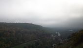 Trail Walking Belbeuf - 20221112-St Adrien - Photo 15