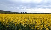 Tocht Stappen Chamarande - Boucle autour de Chamarante - Reco Didier  - Photo 12