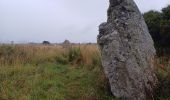 Tocht Stappen Crozon - GR34  Morgat. --  Pentrez - Photo 5