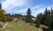 Randonnée Marche Lans-en-Vercors - pas de l'ours 2019 - Photo 4