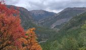 Trail Walking Chaudon-Norante - Le poil valbonnette - Photo 1