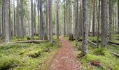 Tour Zu Fuß Saarijärvi - Kotajärven polku - Photo 5