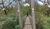 Randonnée Marche Doussard - Réserve du bout du lac - Photo 4