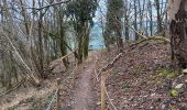 Tocht Stappen Aywaille - autour de Dieupart et Sougné sur les deux versants  - Photo 19