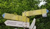 Excursión A pie Baiersbronn - Baiersbronner Himmelsweg: Naturgewalten-Tour - Photo 9