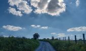 Tour Wandern Vielsalm - fraiture - plateau des tailles  - Photo 2