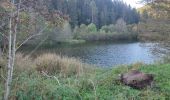 Randonnée Marche Orbey - Vallée des 5 lacs  - Photo 9