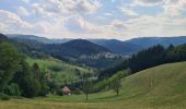 Percorso Marcia Ottenhöfen im Schwarzwald - Karlsruher Grat  - Photo 17