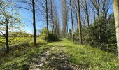 Tocht Stappen Dendermonde - Dendermonde Kastel 17,8 km - Photo 6