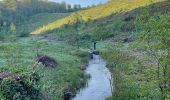 Tour Nordic Walking Zillig - Marche dans l'après-midi - Photo 4