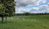 Tocht Stappen Genepiën - petit tour par le Sclage. - Photo 1