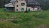 Randonnée Marche Walscheid - Elsassblick,Refuge des Bûcherons, Altmatt,M.F. du Grossmann  - Photo 7