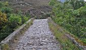 Trail On foot Cangas de Onís - [TRC-002 R3] Ruta del Rey Pelayo - Photo 1