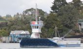 Excursión A pie Bay of Islands-Whangaroa Community - Te Araroa - alternative route - Photo 3