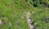 Trail Walking Mont-Dore - Première randonnée dans le Sancy - Photo 11