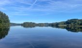 Excursión Senderismo Royère-de-Vassivière - Boucle du Lac de Vassivière - Photo 5