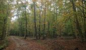 Tour Zu Fuß Volkmarsen - Hessenweg 6, Abschnitt Volkmarsen - Westuffeln - Photo 4