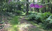 Randonnée Marche Tintigny - La Rando du Bian: Autour de Lahage  - Photo 8