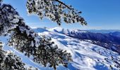 Tocht Ski randonnée Selonnet - 20210218 - Tête grosse - Chabanon - Selonnet - Photo 11